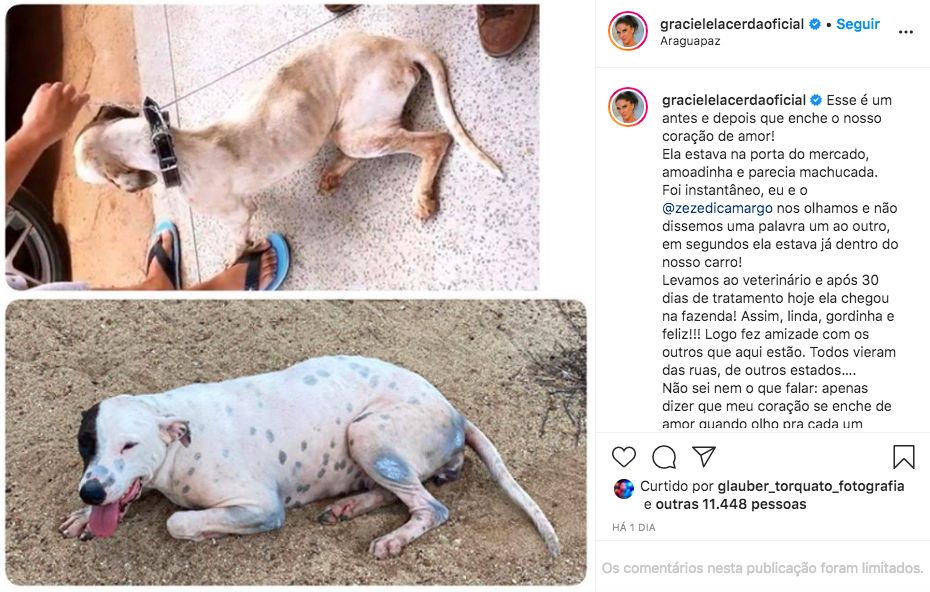 A famosa mulher do cantor sertanejo, Zezé Di Camargo, Graciele Lacerda expõe adoção nas redes sociais (Foto: reprodução/Instagram)
